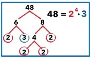 descomposición de un número en factores