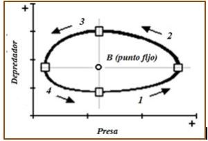 EVOLUCIÓN DE POBLACIONES: MODELO PREDADOR-PRESA DE LOTKA Y VOLTERRA - VicMat