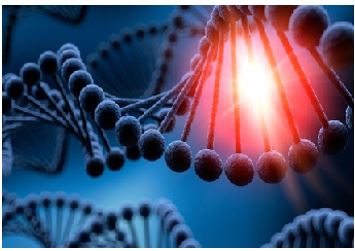 LA APARICIÓN DE LA VIDA EN LA TIERRA. GENERACIÓN ESPONTÁNEA, ABIOGÉNESIS Y CREACIÓN