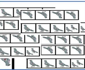 CINCO PROBLEMAS SOBRE EL PRINCIPIO DEL PALOMAR